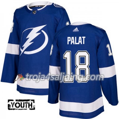 Tampa Bay Lightning tröja Ondrej Palat 18 Adidas 2017-2018 Blå Authentic - NHL Tröjor Barn Tampa Bay Lightning tröja Ondrej Palat 18 Adidas 2017-2018 Blå Authentic - NHL Tröjor Barn